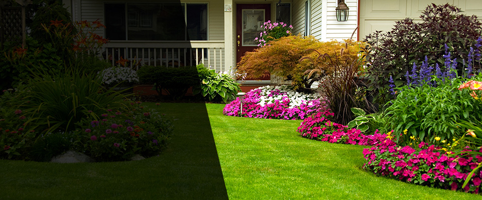 Williston Landscapers